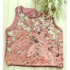 H&M Pink and Silver Sequin Crop Top